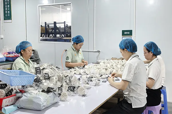 Printing & Packaging: Your Brand, Your Way